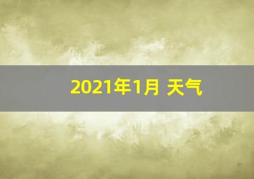 2021年1月 天气